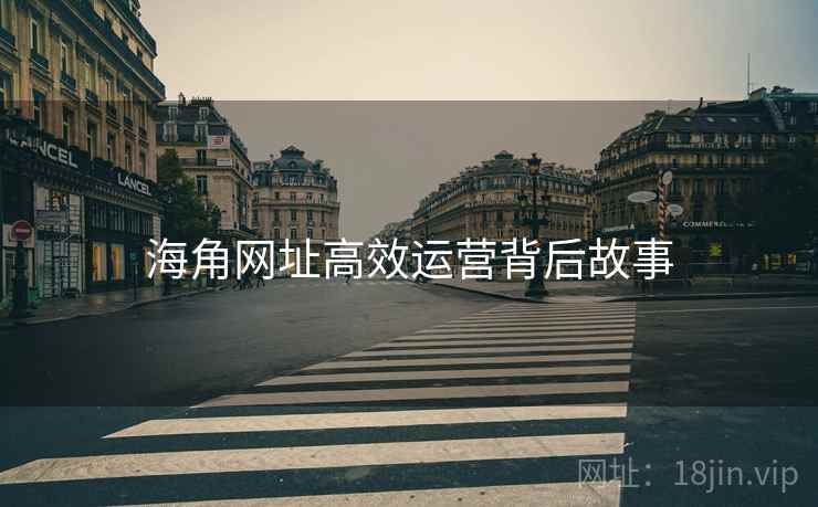海角网址高效运营背后故事
