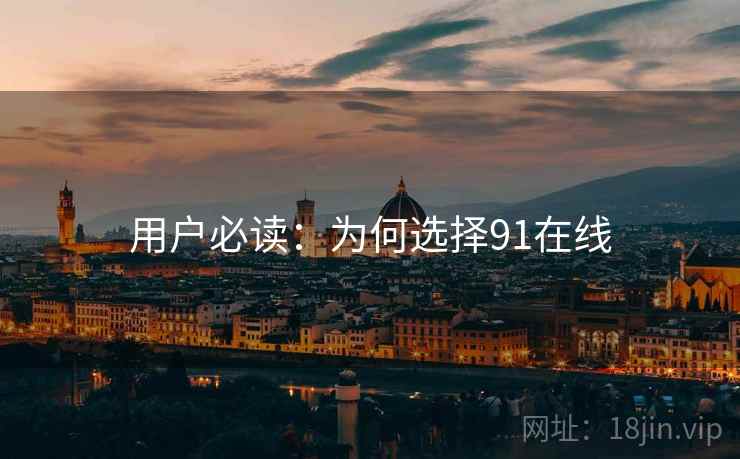 用户必读：为何选择91在线
